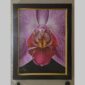 Photographic documentation of a physical, museum-grade orchid study and custom frame by Kevin G. Saunders. This close-up capture verifies the material texture and depth of the manual artistry produced at 107 Blue Star. Physical reality asset; not a digital mockup.
