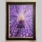 Photographic documentation of a physical, museum-grade orchid study and custom frame by Kevin G. Saunders. This close-up capture verifies the material texture and depth of the manual artistry produced at 107 Blue Star. Physical reality asset; not a digital mockup.