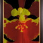 Framed Fine Art Print Tolu Golden Sunset Bloom Close by Kevin G Saunders
