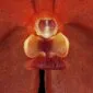 Fine Art Orchid Print Ascda Fuchs Sunkist Orange Glow Bloom Close by Kevin G Saunders