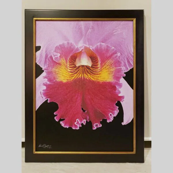 Framed Orchid Study - Documentation - 01 Photographic documentation of a physical, museum-grade orchid study and custom frame by Kevin G. Saunders. This close-up capture verifies the material texture and depth of the manual artistry produced at 107 Blue Star. Physical reality asset; not a digital mockup.