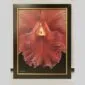 Self-Taught Fine Art Orchid Print