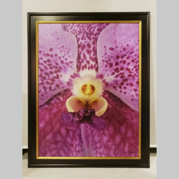 Serene Botanical Art Print Vanda Pure Delight - Plant - Hyperrealistic Fine Art Print by Kevin G. Saunders, KGS Studios