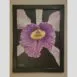 Kevin G Saunders Fine Orchid Art