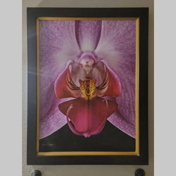Serene Hyperrealistic Orchid Rlc. Edwin Arthur Hausermann - Bloom Close - Hyperrealistic Fine Art Print by Kevin G. Saunders, KGS Studios
