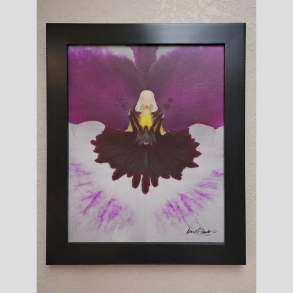 Kevin G Saunders Direct Orchid Print Vanda Rosemary Fuller - Bloom - Hyperrealistic Fine Art Print by Kevin G. Saunders, KGS Studios