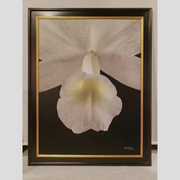 Kevin G Saunders Fine Art Exclusive Vanda Sansai Blue - Plant - Hyperrealistic Fine Art Print by Kevin G. Saunders, KGS Studios