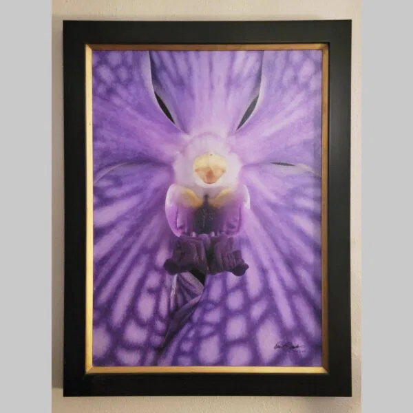 Framed Orchid Study - Documentation - 67 Photographic documentation of a physical, museum-grade orchid study and custom frame by Kevin G. Saunders. This close-up capture verifies the material texture and depth of the manual artistry produced at 107 Blue Star. Physical reality asset; not a digital mockup.