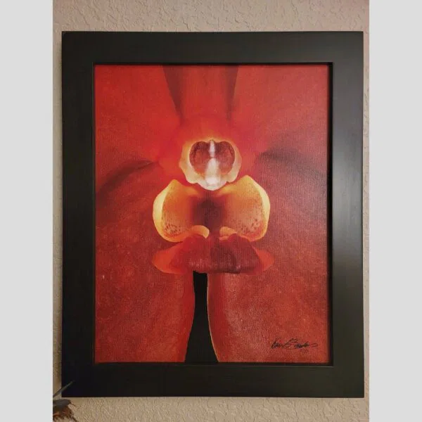 Framed Orchid Study - Documentation - 76 Photographic documentation of a physical, museum-grade orchid study and custom frame by Kevin G. Saunders. This close-up capture verifies the material texture and depth of the manual artistry produced at 107 Blue Star. Physical reality asset; not a digital mockup.