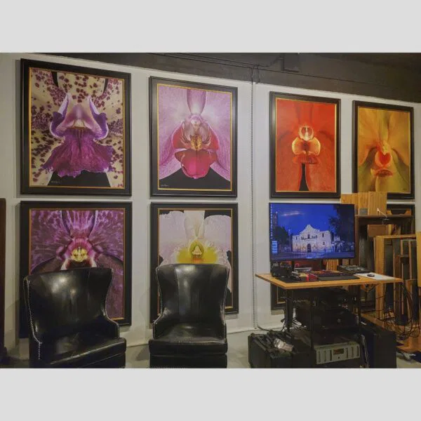 Kevin G Saunders Direct Art Orchid Physical documentation of the 107 Blue Star atelier, verifying the manual hyperrealism environment for Kevin G. Saunders | KGS Studios. This San Antonio atelier proof confirms the tools and lighting used for museum-grade commissions. Physical reality asset; no generative AI used.