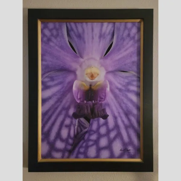 Kevin G Saunders Corporate Fine Art Vanda Tang See Hang 'Cathy and Frank Burzik' - Bloom Close - Hyperrealistic Fine Art Print by Kevin G. Saunders, KGS Studios