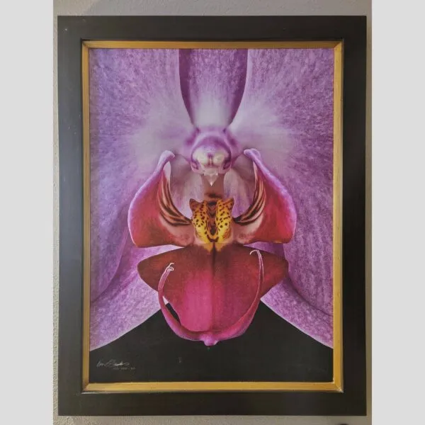 Kevin G Saunders Emotional Art Exclusive Cattleya Portia Coerulea 'Sir Jeremiah Coleman' - Plant - Hyperrealistic Fine Art Print by Kevin G. Saunders, KGS Studios