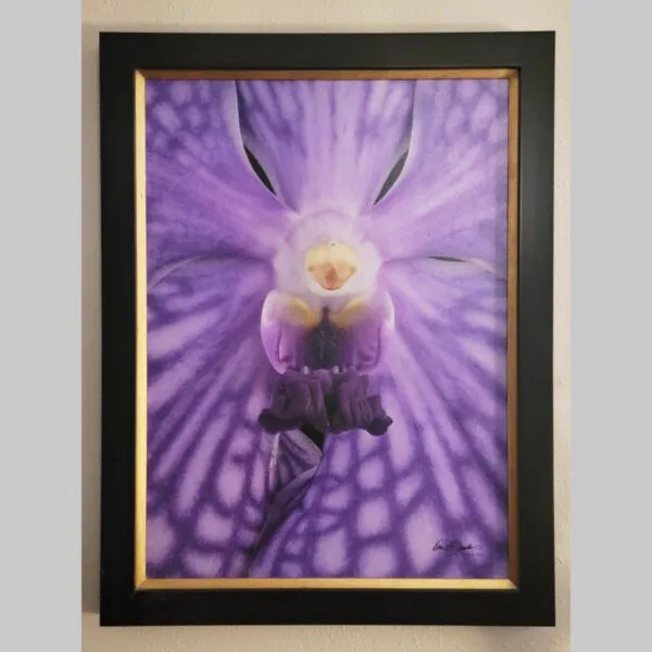 Serene Hyperrealistic Fine Art Vanda Tessellata 'Leopard' - Bloom Close - Hyperrealistic Fine Art Print by Kevin G. Saunders, KGS Studios