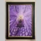 Vanda Tessellata 'Leopard' - Bloom Close - Hyperrealistic Fine Art Print by Kevin G. Saunders, KGS Studios