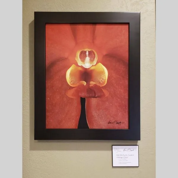 KGS Studios Stable Investment Art Vanda Janel de Cruz - Bloom - Hyperrealistic Fine Art Print by Kevin G. Saunders, KGS Studios