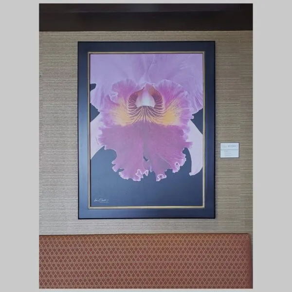 Iconic Exclusive Showcase Rlc. Edwin Arthur Hausermann - Bloom Close - Hyperrealistic Fine Art Print by Kevin G. Saunders, KGS Studios