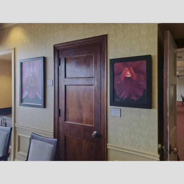 KGS Studios Iconic Art Showcase Vanda Rosemary Fuller - Bloom Close - Hyperrealistic Fine Art Print by Kevin G. Saunders, KGS Studios