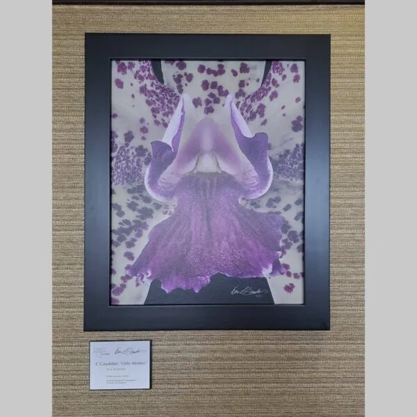 Visionary Timeless Art Print Vanda Tang See Hang 'Cathy and Frank Burzik' - Plant - Hyperrealistic Fine Art Print by Kevin G. Saunders, KGS Studios