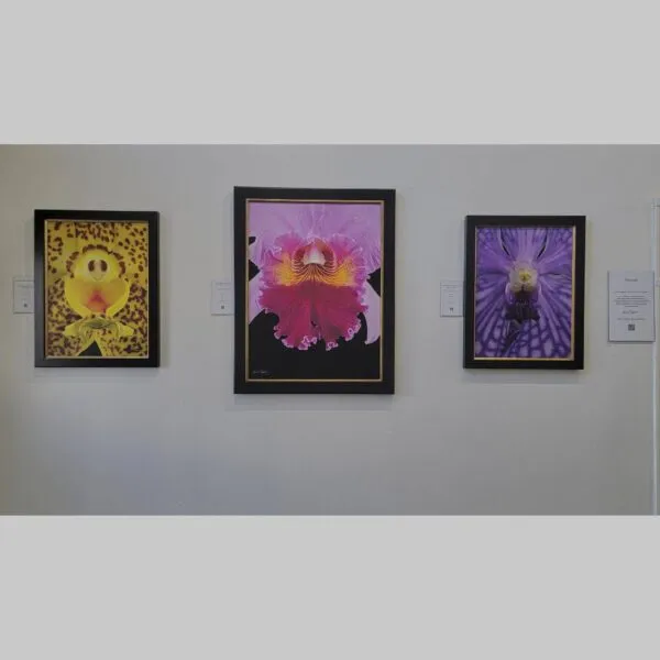 Visionary Stable Investment Print Visionary Stable Investment Print