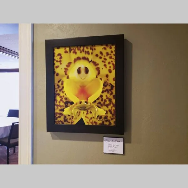 Iconic Fine Art Print Vanda Tessellata 'Leopard' - Bloom Close - Hyperrealistic Fine Art Print by Kevin G. Saunders, KGS Studios