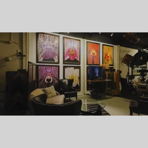 Curated Exclusive Art Print Paphiopedilum It's Doll - Bloom - Hyperrealistic Fine Art Print by Kevin G. Saunders, KGS Studios