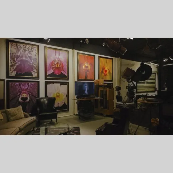 KGS Studios Gallery Prestige Print Vanda Janel de Cruz - Bloom - Hyperrealistic Fine Art Print by Kevin G. Saunders, KGS Studios