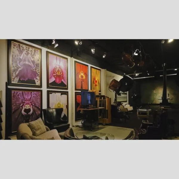 KGS Studios Gallery Serene Art Decor Vanda Roberts Delight - Plant - Hyperrealistic Fine Art Print by Kevin G. Saunders, KGS Studios