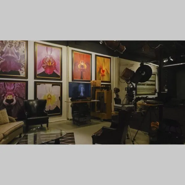 Curated Elegant Decor Curated Elegant Decor