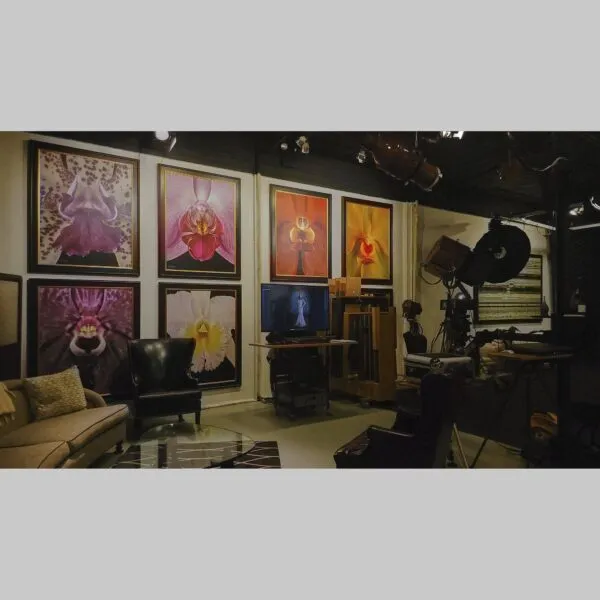 Curated Timeless Print Rlc. Edwin Arthur Hausermann - Bloom Close - Hyperrealistic Fine Art Print by Kevin G. Saunders, KGS Studios