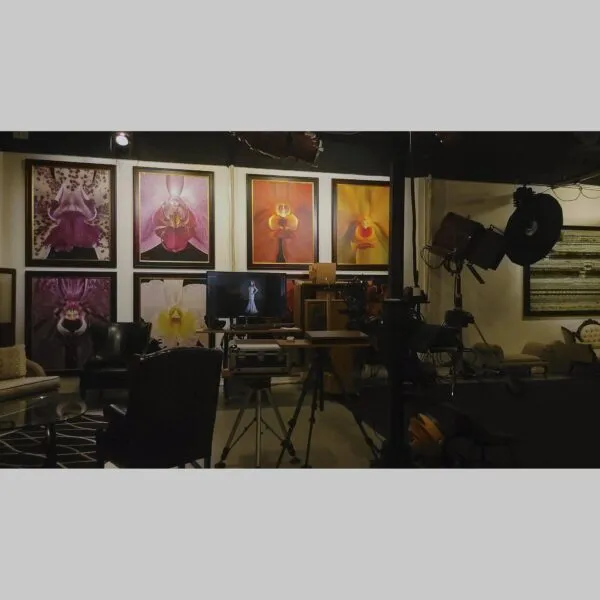 Curated Exclusive Art Decor Laeliocattleya C.G. Roebling - Bloom - Hyperrealistic Fine Art Print by Kevin G. Saunders, KGS Studios