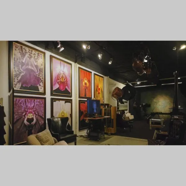 Prestige Corporate Art Print Vanda Tang See Hang 'Cathy and Frank Burzik' - Plant - Hyperrealistic Fine Art Print by Kevin G. Saunders, KGS Studios