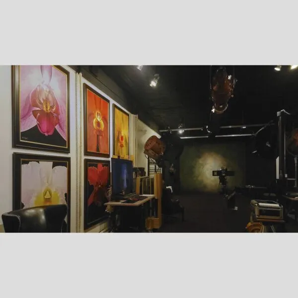 KGS Studios Gallery Corporate Art Print Vanda Tang See Hang 'Cathy and Frank Burzik' - Bloom Close - Hyperrealistic Fine Art Print by Kevin G. Saunders, KGS Studios