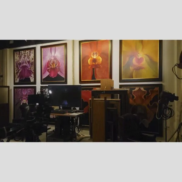 KGS Studios Gallery Exclusive Decor KGS Studios Gallery Exclusive Decor