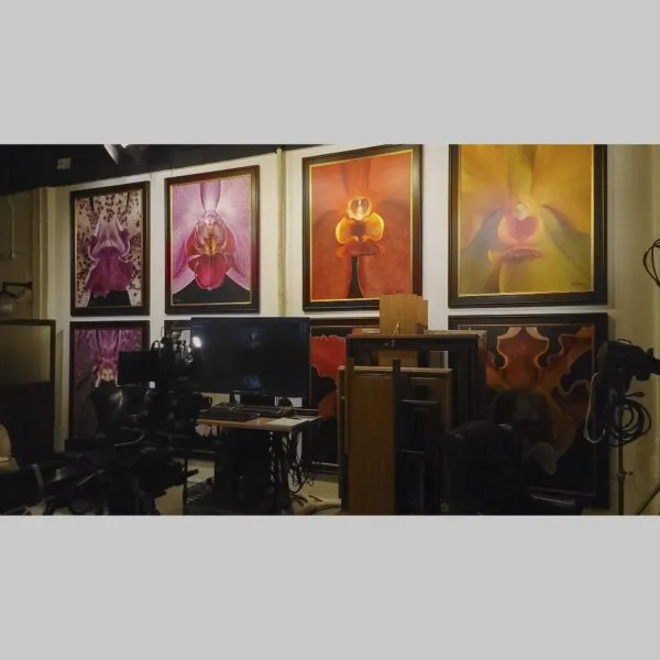 Curated Timeless Art Print Vanda Thailand Beauty - Plant - Hyperrealistic Fine Art Print by Kevin G. Saunders, KGS Studios