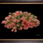 Framed Fine Art Print Christmas Cactus Plant by Kevin G Saunders