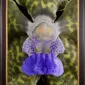 Framed Fine Art Print Vanda Tessellata Leopard Bloom Close by Kevin G Saunders