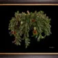 Framed Fine Art Orchid Print Huernia Confusa Plant by Kevin G Saunders