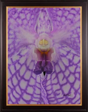 Framed Fine Art Print of Vanda Charlene Atkins Bloom Close by Kevin G Saunders