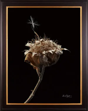 A framed, hyperrealistic print of a dried plant stalk with a single dandelion seed resting on it.