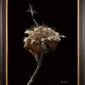 A framed, hyperrealistic print of a dried plant stalk with a single dandelion seed resting on it.