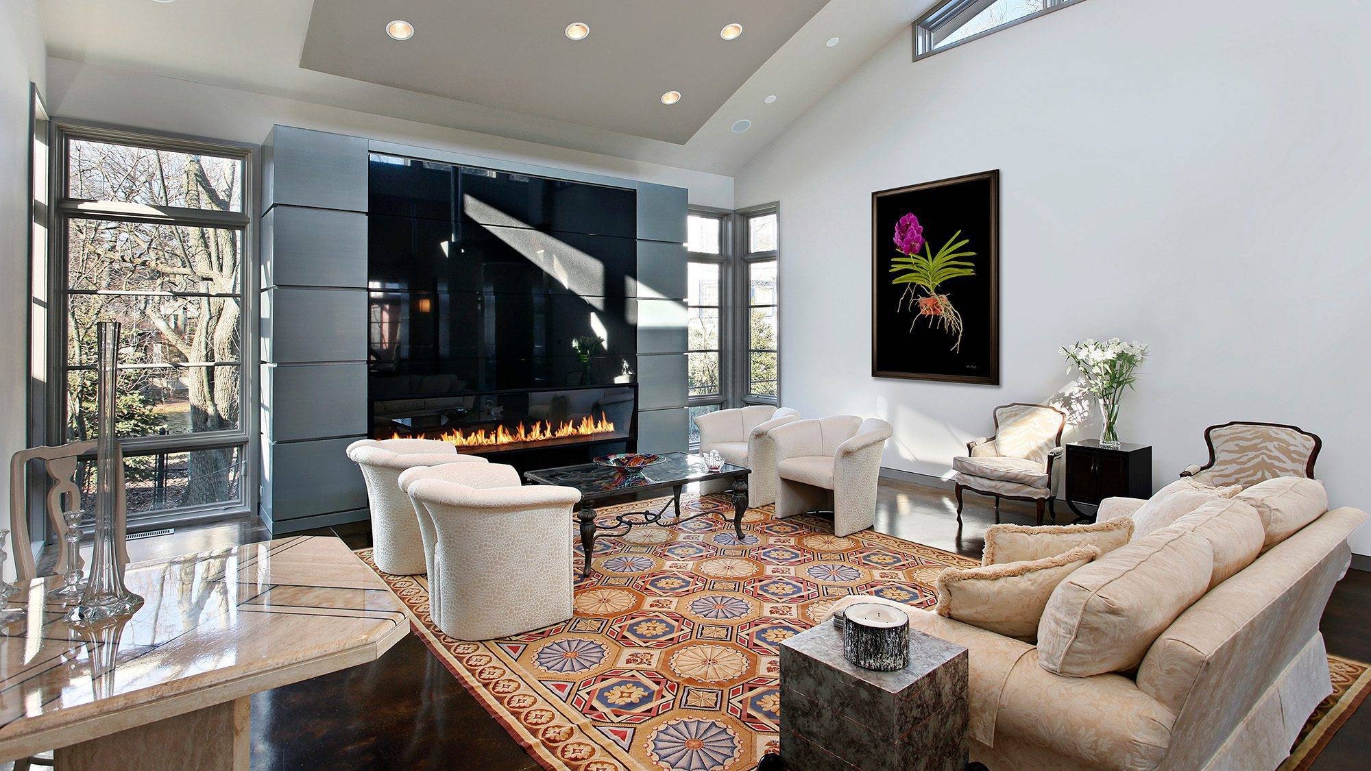 A KGS Studios fine art portrait of a full Vanda orchid plant with roots, displayed in a contemporary living room with a fireplace.
