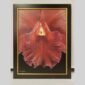 Photographic documentation of a physical, museum-grade orchid study and custom frame by Kevin G. Saunders. This close-up capture verifies the material texture and depth of the manual artistry produced at 107 Blue Star. Physical reality asset; not a digital mockup.