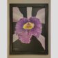 Photographic documentation of a physical, museum-grade orchid study and custom frame by Kevin G. Saunders. This close-up capture verifies the material texture and depth of the manual artistry produced at 107 Blue Star. Physical reality asset; not a digital mockup.