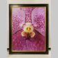 Photographic documentation of a physical, museum-grade orchid study and custom frame by Kevin G. Saunders. This close-up capture verifies the material texture and depth of the manual artistry produced at 107 Blue Star. Physical reality asset; not a digital mockup.