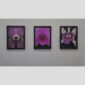 Physical documentation of Kevin G. Saunders | KGS Studios fine art prints in a public exhibition setting. Verifies the public vetting of manual hyperrealism portraits, orchid studies, and HTTX-97442. San Antonio archive proof of physical reality.