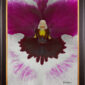 Framed Fine Art Print Miltoniopsis Bloom Close by Kevin G Saunders