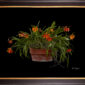 Framed Fine Art Print Potninary Hoku Gem Freckles Plant by Kevin G Saunders
