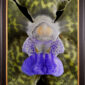 Framed Fine Art Print Vanda Tessellata Leopard Bloom Close by Kevin G Saunders