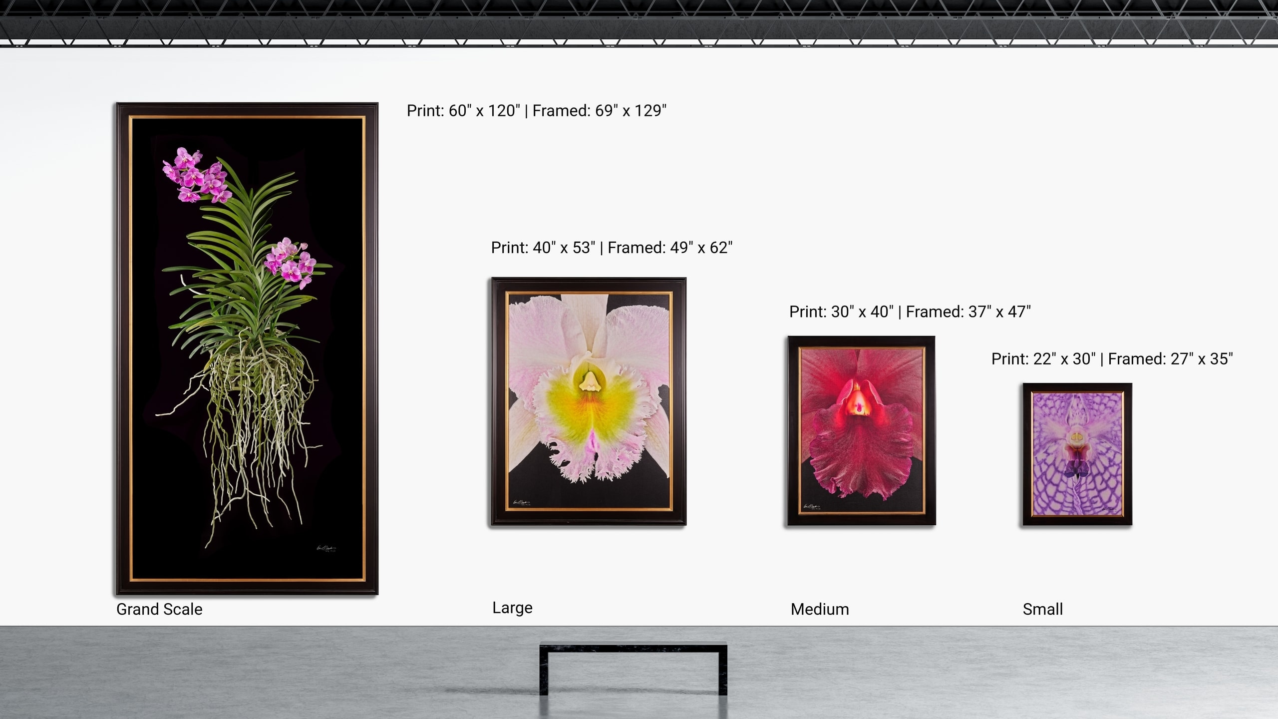 Scaled images of KGS Studios' Orchid collection range from 60 x 120 down to 16 x 20, Limited and Unlimited editions.