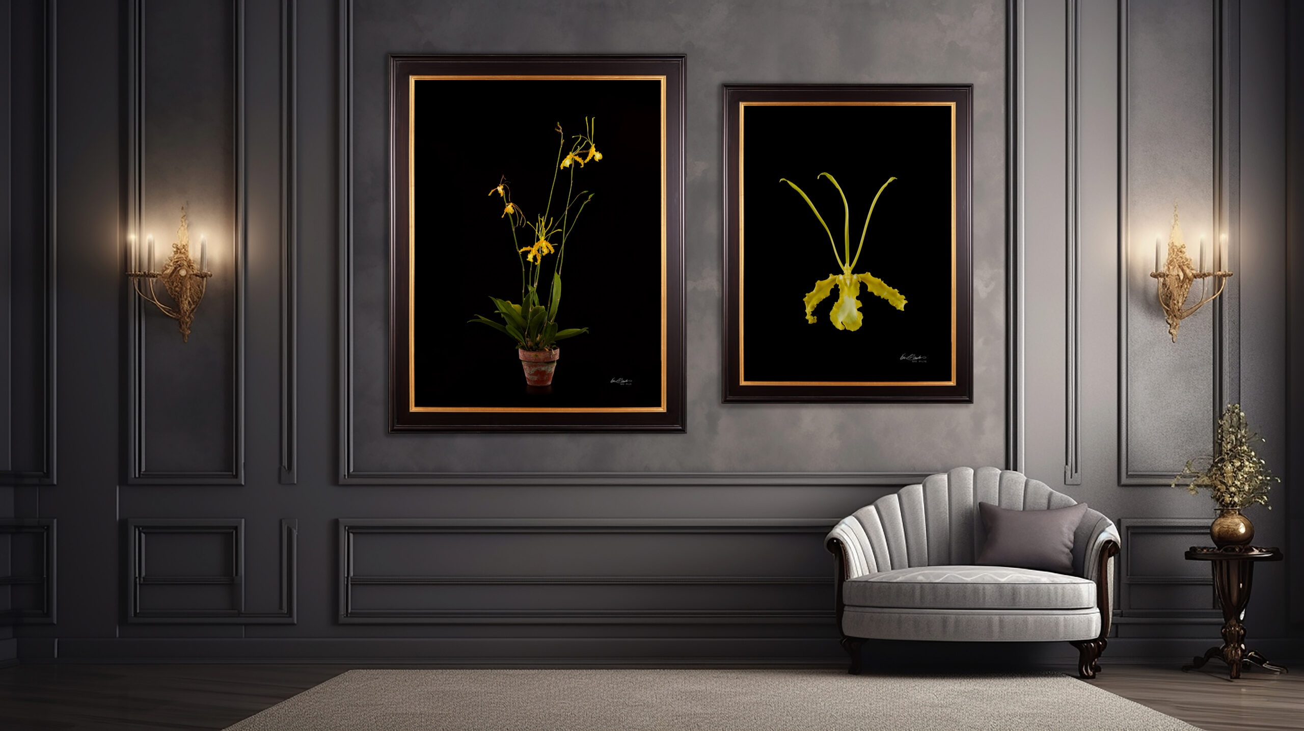 A diptych of two framed Psychopsis orchid prints hung on a modern gray wall above a minimalist bench.